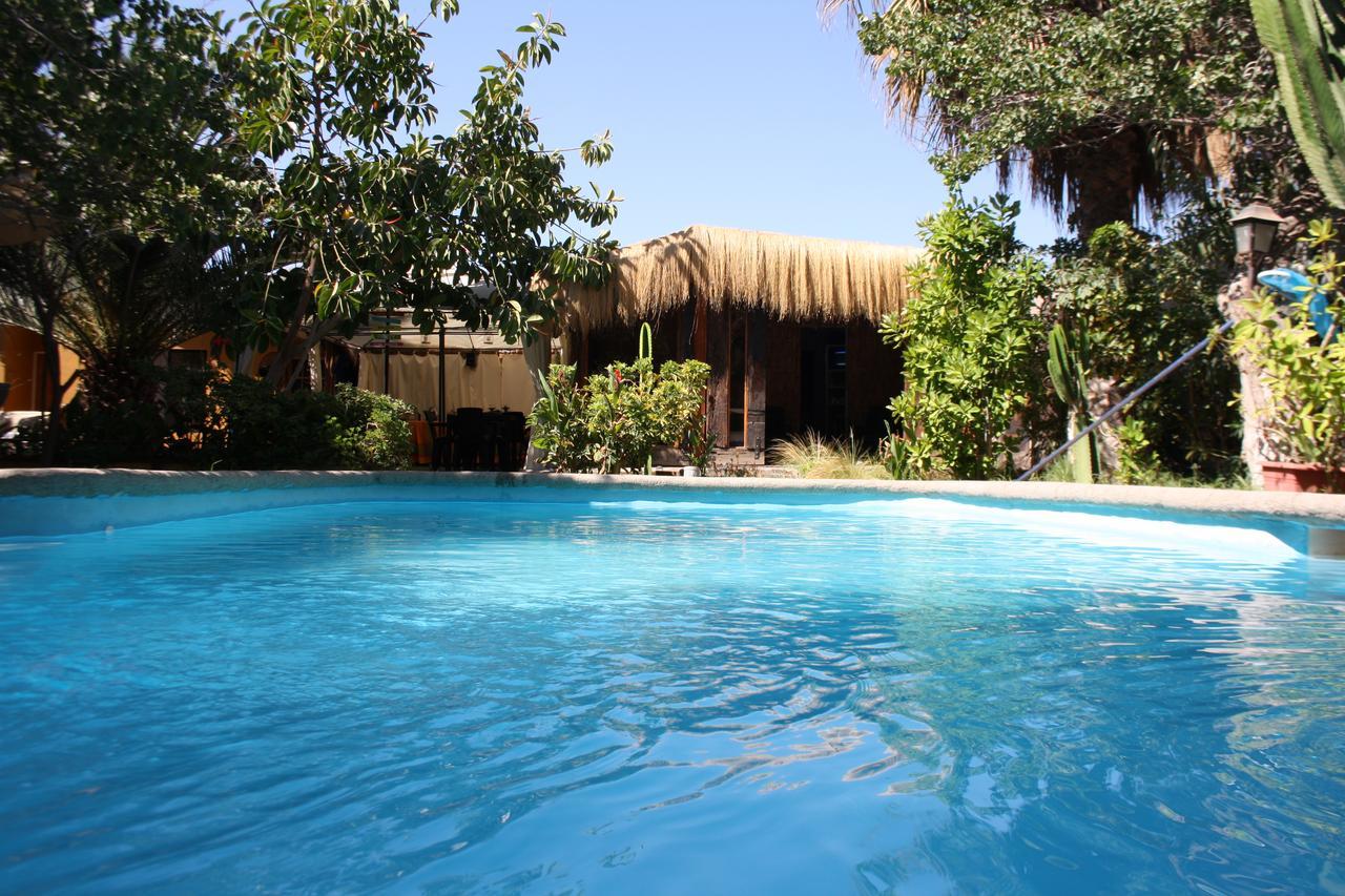 Tikay Suite Hotel Copiapó Eksteriør bilde